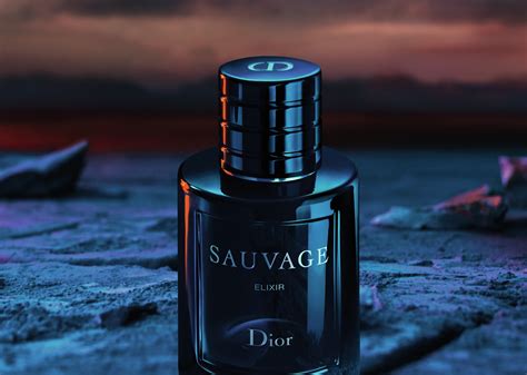 sauvage dior types|which sauvage smells the best.